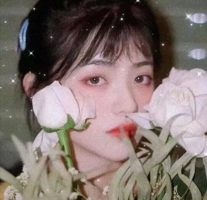 少林小子